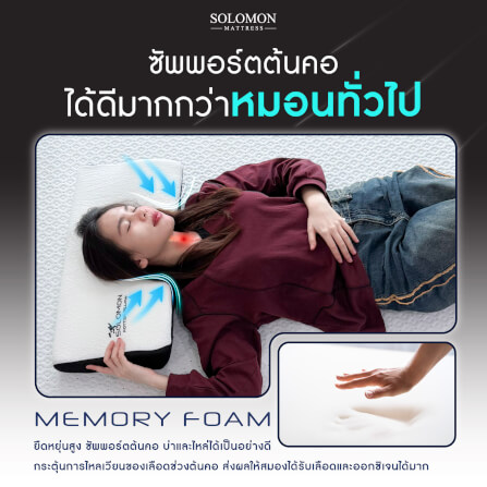 หมอนเมมโมรี่โฟม SOLOMON รุ่น POTTER PILLOW_3